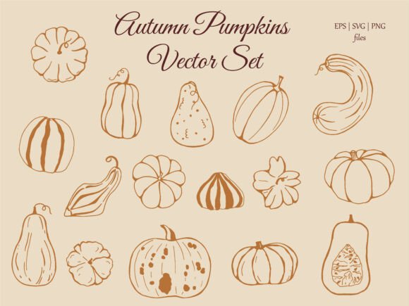 Autumn Pumpkins Vector Set: Graphics & Illustrations for Local Branding